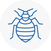 Bed Bug Extermination In Alcester